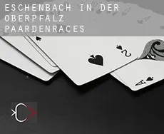 Eschenbach in der Oberpfalz  paardenraces