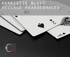 Harrietts Bluff Village  paardenraces