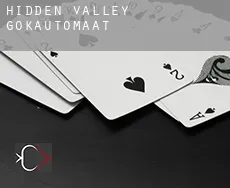 Hidden Valley  gokautomaat