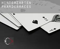 Hinterzarten paardenraces