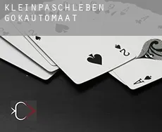 Kleinpaschleben  gokautomaat