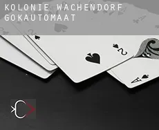 Kolonie Wachendorf gokautomaat