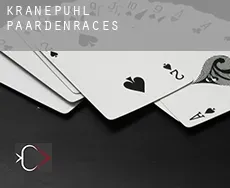 Kranepuhl  paardenraces