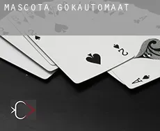 Mascota  gokautomaat