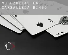 Molezuelas de la Carballeda  bingo