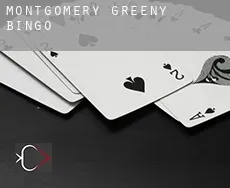 Montgomery Greeny  bingo