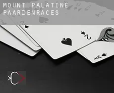 Mount Palatine paardenraces