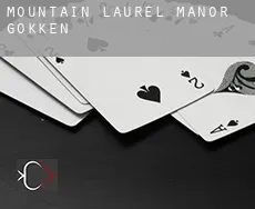 Mountain Laurel Manor  gokken