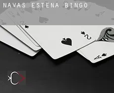 Navas de Estena  bingo