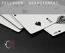 Pellworm  gokautomaat