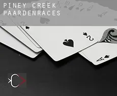 Piney Creek  paardenraces