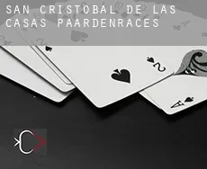 San Cristóbal de las Casas paardenraces