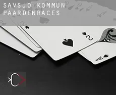 Sävsjö Kommun paardenraces
