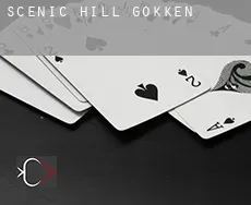 Scenic Hill  gokken
