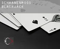 Schwanenmoos blackjack