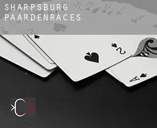 Sharpsburg  paardenraces