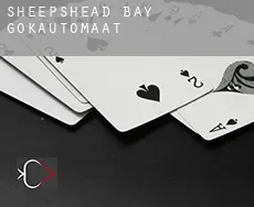 Sheepshead Bay  gokautomaat