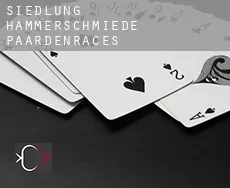 Siedlung Hammerschmiede paardenraces