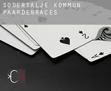 Södertälje Kommun  paardenraces
