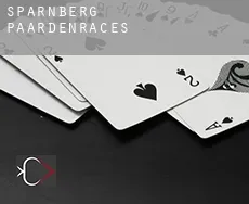 Sparnberg  paardenraces