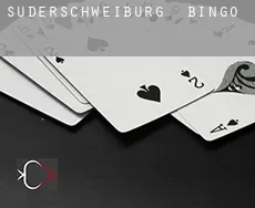 Süderschweiburg bingo
