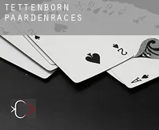 Tettenborn paardenraces