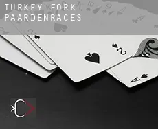 Turkey Fork paardenraces