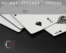 Walnut Springs casino