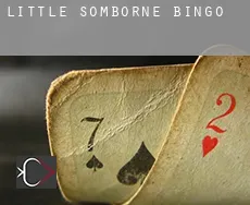 Little Somborne  bingo