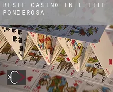 Beste casino in  Little Ponderosa