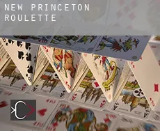 New Princeton roulette
