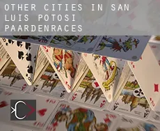 Other cities in San Luis Potosi  paardenraces