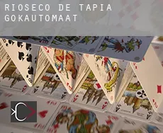 Rioseco de Tapia  gokautomaat