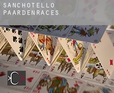 Sanchotello  paardenraces
