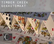Timber Creek  gokautomaat