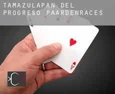Tamazulapan del Progreso  paardenraces