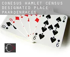 Conesus Hamlet  paardenraces