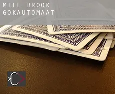 Mill Brook  gokautomaat