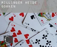 Millinger Heide  gokken