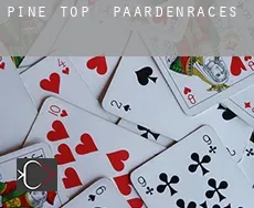 Pine Top paardenraces