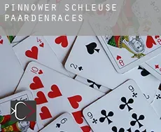 Pinnower Schleuse  paardenraces