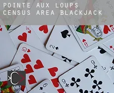 Pointe-aux-Loups (census area)  blackjack