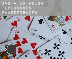 Santa Catarina de Tepehuanes  paardenraces
