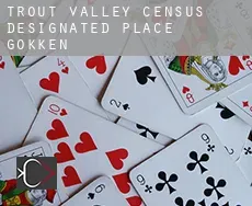 Trout Valley gokken