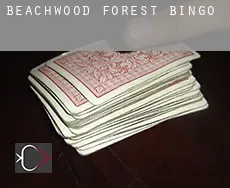 Beachwood Forest  bingo