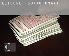 Leisure gokautomaat